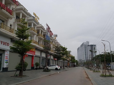 Thị trường BĐS trầm lắng do các doanh nghiệp thiếu dòng tiền tái đầu tư. 