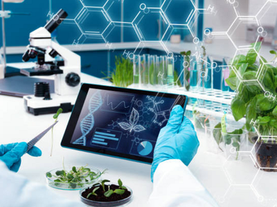 Ảnh minh họa (internet)