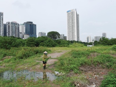 Chuyển đổi mục dích sử dụng đất là nguyên nhân dẫn tới nhiều khiếu kiện về đất đai từ nhiều năm nay. Ảnh: Dũng Minh