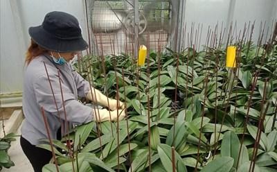 Lâm Đồng hỗ trợ tối đa 2 tỷ đồng cho mỗi dự án thanh niên khởi nghiệp