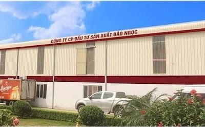 Công ty CP Đầu tư Sản xuất Bảo Ngọc bị phạt 225 triệu đồng do vi phạm trong giao dịch và không công bố thông tin.