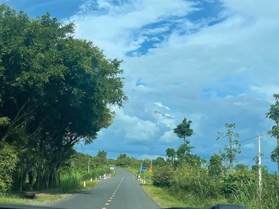 Quốc lộ 29 nối Phú Yên - Đắk Lắk góp phần thay đổi diện mạo kinh tế tỉnh Phú Yên trong tương lai 