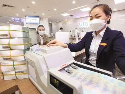 Việc hút thêm vốn ngoại sẽ giúp các ngân hàng nâng cao năng lực tài chính và sức cạnh tranh trên thị trường. Trong ảnh: Tiếp nhận vốn tín dụng tại Ngân hàng VIB. Ảnh: Lê Toàn