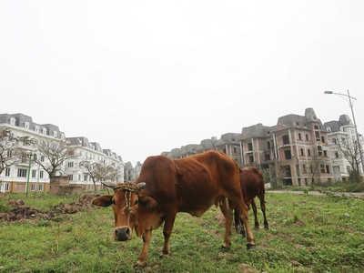 Với các chủ đầu tư dự án bất động sản, rủi ro chính sách là đáng lo ngại nhất. Ảnh: Dũng Minh 