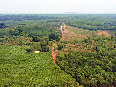 Rừng Khu Dự trữ sinh quyển thế giới Đồng Nai nhìn từ trên cao