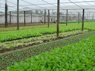 Hà Nội điều chỉnh chỉ tiêu quy hoạch sử dụng đất của huyện Hoài Đức đến năm 2030 