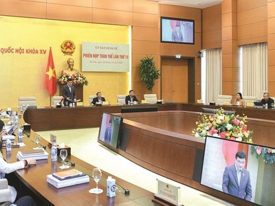 Chủ nhiệm Ủy ban Kinh tế của Quốc hội Vũ Hồng Thanh phát biểu tại phiên thẩm tra 