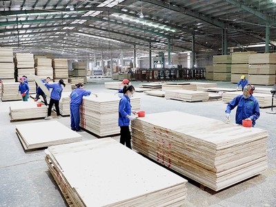 Ngành gỗ kỳ vọng đạt tốc độ tăng trưởng 9% trong năm nay, tương đương kim ngạch xuất khẩu 18 tỷ USD.