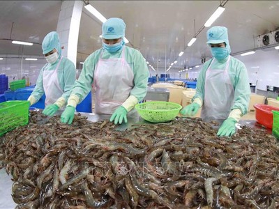 Năm 2022, thủy sản mang về kim ngạch xuất khẩu 11 tỷ USD, trong đó con tôm đtạ hơn 4 tỷ USD.