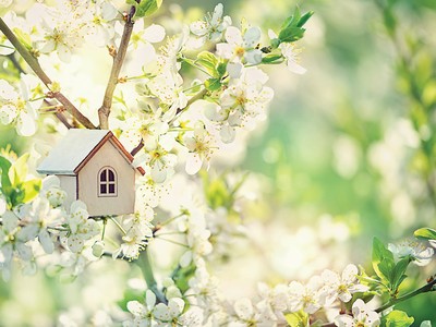 Nhà nằm trong phố