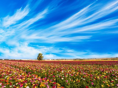 Bất động sản, chứng khoán 2023 dưới góc nhìn phong thủy