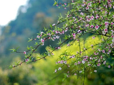 Một mùa Xuân mới lại đến với nhà đầu tư với kỳ vọng sẽ tươi đẹp hơn năm 2022