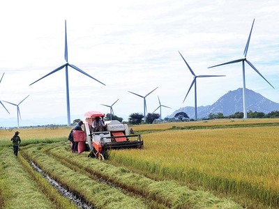 Theo Nghị quyết số 26-NQ/TW của Bộ Chính trị, Vùng Bắc Trung Bộ và Duyên hải Trung Bộ sẽ trở thành vùng sản xuất nông nghiệp có tốc độ tăng trưởng khá, hiệu quả và bền vững