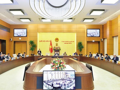 Phiên thảo luận về Dự thảo Luật Bảo vệ quyền lợi người tiêu dùng sửa đổi của Ủy ban Thường vụ Quốc hội. Ảnh: NĐ