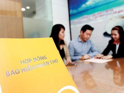 Các kế hoạch kinh doanh mới của doanh nghiệp bảo hiểm đang bị đình lại vì thiếu quy định hướng dẫn