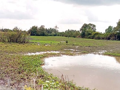 NSH Petro đã tạm ứng tiền cho địa phương thực hiện xong công tác giải phóng mặt bằng khu đất dự án