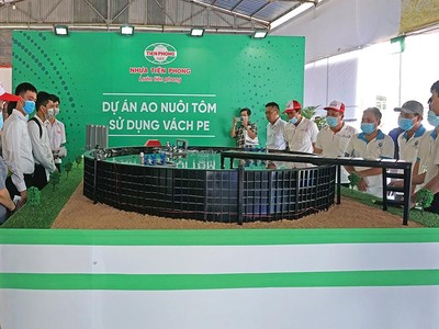 Mô hình ao nuôi bằng vách PE và thùng T50 của Nhựa Tiền Phong