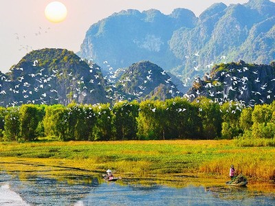 Ban hành kế hoạch tổ chức thẩm định Quy hoạch bảo tồn đa dạng sinh học quốc gia