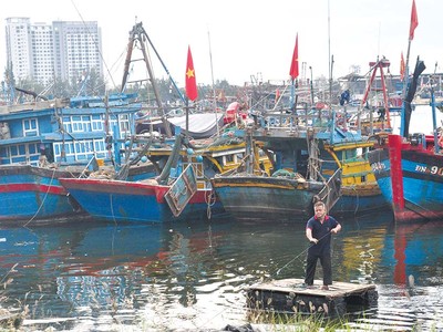 Vì những lý do khác nhau, nhiều tàu cá ở Đà Nẵng không ra khơi, khiến sản lượng khai thác giảm mạnh Ảnh: H.A
