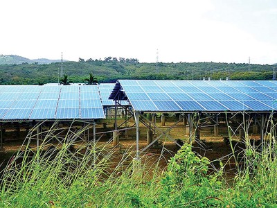 Một dự án điện mặt trời mái nhà núp bóng trang trại