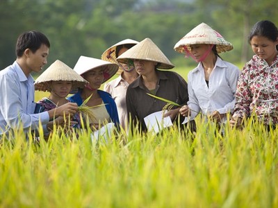 Ảnh minh họa. Nguồn: Internet