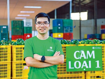 Doanh nhân Nguyễn Trần Thi, Chủ tịch HĐQT Koina Investment Group.