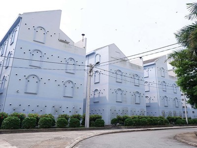 Nhà nuôi yến mà Vina Yến đã đầu tư xây dựng tại Khu công nghiệp Việt Phát.