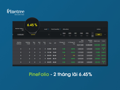 Không có môi giới, chuyên gia Pinetree giúp khách hàng chốt lãi cao nhờ Pinefolio
