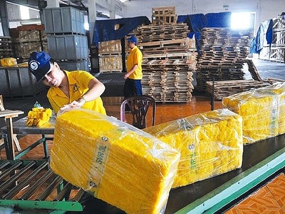 Khó khăn chồng chất, nhiều công ty cao su phải tạm ngừng kinh doanh 