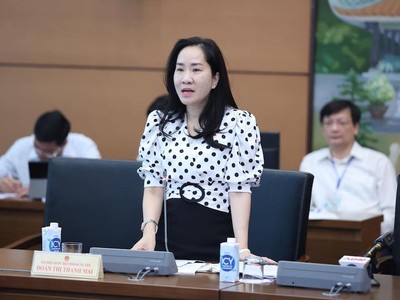 Đại biểu Đoàn Thị Thanh Mai phát biểu tại tổ. 