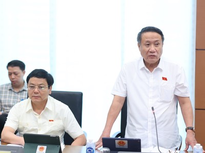 Đại biểu Hà Sỹ Đồng phát biểu tại tổ.