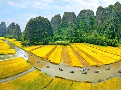 Lễ khai mạc sẽ diễn ra trên cánh đồng lúa rộng gần 10.000 m2. (Ảnh minh hoạ)