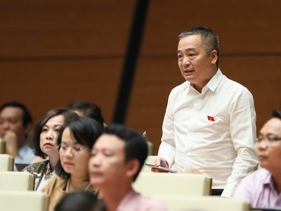 Đại biểu Quốc hội Nguyễn Lân Hiếu phát biểu tại phiên thảo luận. 