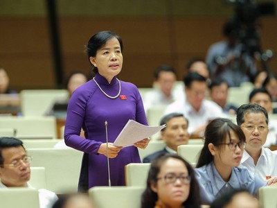 Đại biểu Quốc hội Nguyễn Thị Kim Thúy.