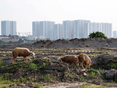 Phiền hà trong thực hiện thủ tục đất đai còn phổ biến. Ảnh: Dũng Minh 