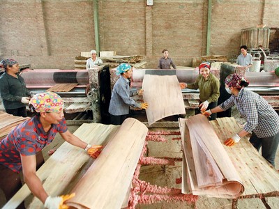 Tỷ lệ lao động trong các ngành dệt may, da giày, gỗ và lâm sản mất việc khá cao. Ảnh: Đức Thanh