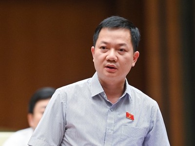 Đại biểu Trịnh Xuân An phát biểu chiều 10/6.