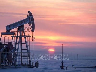 Cơ sở khai thác dầu tại Almetyevsk, Nga. Ảnh minh họa: AFP/TTXVN