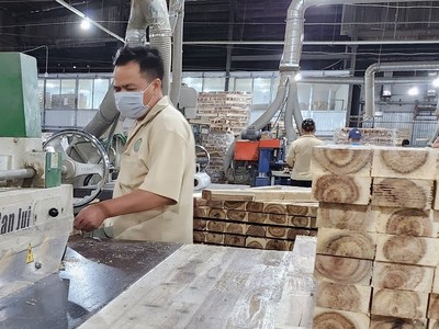 Keo dán gỗ được Bộ Nông nghiệp và Phát triển nông thôn bổ sung vào danh mục hàng hoá nhóm 2, nhưng đến ngày có hiệu lực vẫn không chỉ định đơn vị đánh giá sự phù hợp. Ảnh minh họa