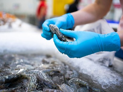 Xuất khẩu tôm 5 tháng đầu năm 2023 sụt giảm gần 36% so với cùng kỳ.