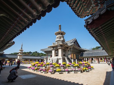 Hàn Quốc đã đón 163.000 lượt khách du lịch từ Việt Nam 