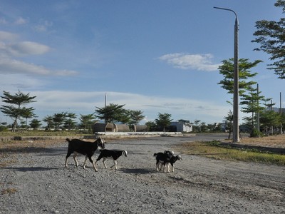 Các dự án của Công ty Bách Đạt An tại KĐT mới Điện Nam - Điện Ngọc gặp khó, không thể triển khai. Ảnh Hoàng Anh