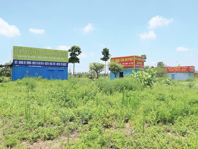 Thị trường tỉnh giờ chỉ còn các sàn địa phương bám trụ. Ảnh: Dũng Minh 