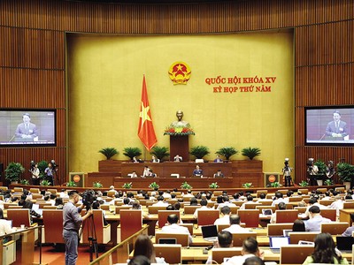 Mạch nghị trường 