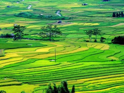 Lãnh đạo Bộ Tài nguyên và Môi trường cho rằng, một số nội dung, chủ trương liên quan chưa được thể chế trong dự thảo Luật Đất đai vì không thuộc phạm vi điều chỉnh của Luật Đất đai