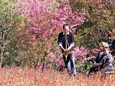 Cảnh quan thiên nhiên tươi đẹp, nguyên sơ cùng giá trị văn hóa truyền thống của các dân tộc trên địa bàn tạo sức hấp dẫn cho du lịch Yên Bái