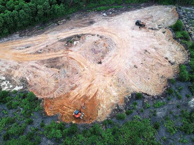 Sau khi bị chính quyền và công an xã Lộc Bổn lập biên bản, ngày 21/4/2023 xe múc, xe ben vẫn vào lấy đất trái phép ở thửa đất số 344, tờ bản đồ 01.