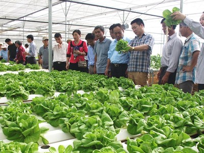 Thành phố Đà Nẵng đã có 3 vùng nông nghiệp ứng dụng công nghệ cao được quy hoạch chi tiết tỷ lệ 1/500, diện tích 65,9 ha.