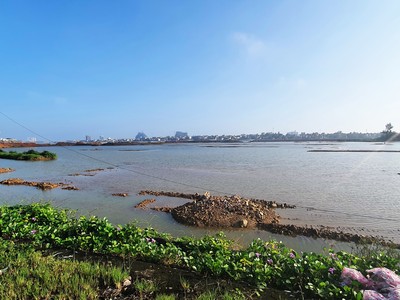 Khu vực dọc bờ sông Nhật Lệ, TP. Đồng Hới, Quảng Bình. Ảnh: Ngọc Tân