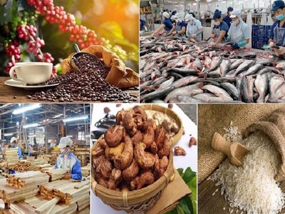 Những mặt hàng nông sản chủ lực của Việt Nam trong nửa cuối 2023.